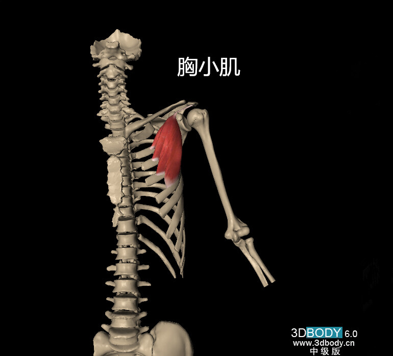 点击浏览下一页