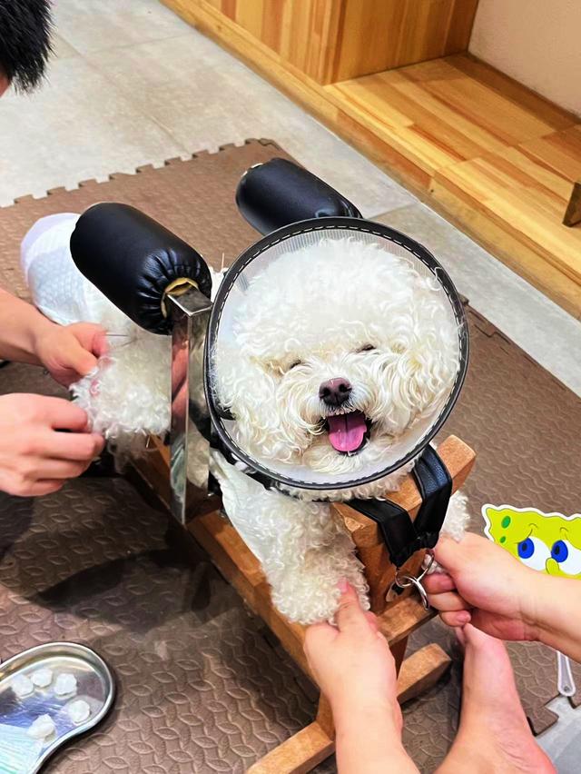 点击浏览下一页
