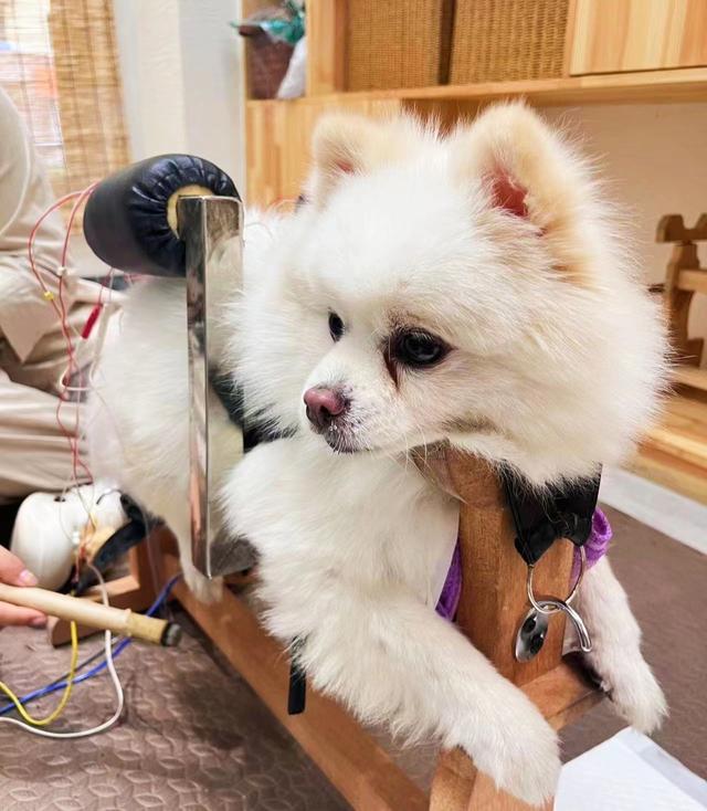 点击浏览下一页
